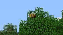Spin Bee GIF - Spin Bee Minecraft GIFs