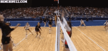 volleyball sports womens volleyball spike