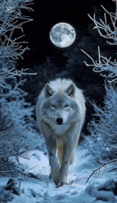 a wolf walking through a snowy forest at night with a full moon in the background