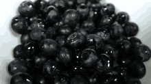 Bask In The Blueberries GIF