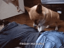 Dogs Wake Up GIF - Dogs Wake Up Massage GIFs
