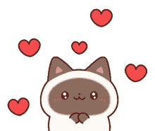 shamu cat siamese cat sticker hearts
