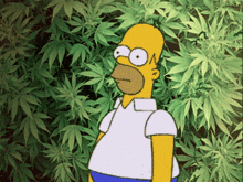 Homer In The Weeds GIF - Homer In The Weeds GIFs