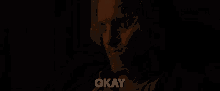 Okay Woody Harrelson GIF - Okay Woody Harrelson Haymitch Abernathy GIFs