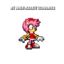a pixel art of amy from sonic the hedgehog says me when market economies go up