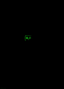 Neon Owl GIF