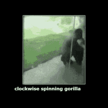 Gorilla Spin GIF