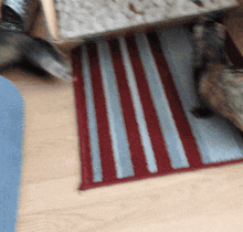 a red and white striped rug on the floor