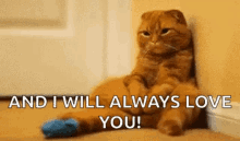 Funny I Will Always Love You GIFs | Tenor