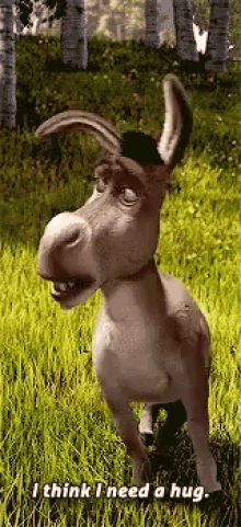 Donkey Shreg GIF - Donkey Shreg I Need A Hug GIFs