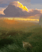 a painting of a cat in the grass with a cloud in the background