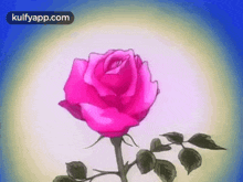 Rose Flower.Gif GIF - Rose Flower Rose Rose Gif GIFs