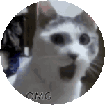 Omg Schock Sticker - Omg Schock Cat Stickers