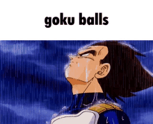 Vegeta Goku Balls GIF - Vegeta Goku Balls Crying GIFs