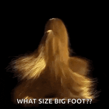 Sasquatch Bigfoot GIF - Sasquatch Bigfoot Hair GIFs
