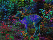 Trippy Deer GIF - Trippy Deer Forest GIFs