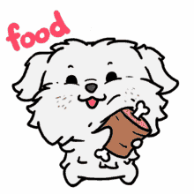 food dog bone cute animal