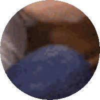 a pixelated image of a circle with a blue object in the center