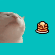 Buttery Stancakes Cat GIF - Buttery Stancakes Cat Bugfables GIFs