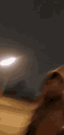 a blurred image of a person 's face with a light shining on it