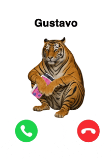 a picture of a tiger holding a cell phone with the name gustavo written above it