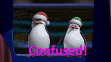 Penguins Of Madagascar Private GIF - Penguins Of Madagascar Private Confused GIFs