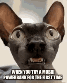 Mobbi Mobbi Powerbank GIF - Mobbi Mobbi Powerbank Powerbank GIFs