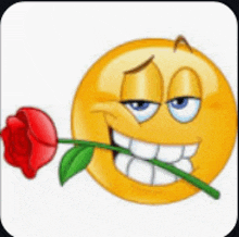a yellow smiley face is holding a red rose in its mouth .