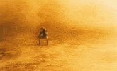 Dune Dune Part 2 GIF - Dune Dune Part 2 Stilgar Riding Sandworm GIFs