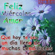 a picture of purple daisies with the words feliz miercoles amor
