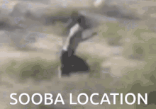 Running Sooba GIF - Running Sooba Sooba Location GIFs