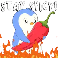 a cartoon of a penguin holding a red pepper with the words " stay spicy " above it