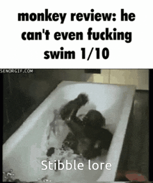 Stiblbe Stibble Lore GIF - Stiblbe Stibble Lore Swimming GIFs