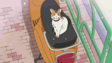 Yuyushiki Anime GIF - Yuyushiki Anime Cat GIFs