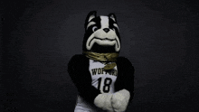 Wofford Wofford Terriers GIF - Wofford Wofford Terriers Terriers GIFs