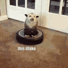 Dlake Opossum GIF - Dlake Opossum Roomba GIFs