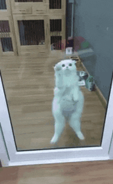 a white cat is standing on its hind legs in front of a door .