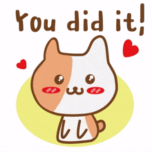 animal kitty cat cute you did it