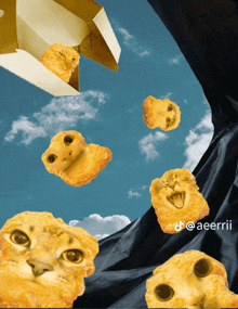 a picture of chicken nuggets with a cat face on it