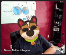 Angelo Buildbox GIF - Angelo Buildbox Dog GIFs