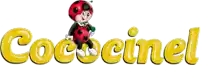 a ladybug is sitting on top of the word cococinel