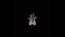 a black background with a white silhouette of a bug