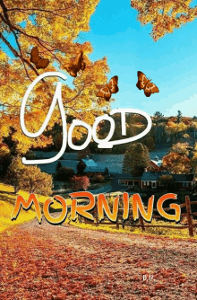 Dobro Jutro Good Morning GIF - Dobro Jutro Good Morning Butterfly GIFs