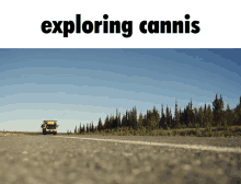 Cannis Exploring GIF - Cannis Exploring Driving GIFs