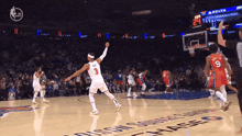 New York Knicks Josh Hart GIF
