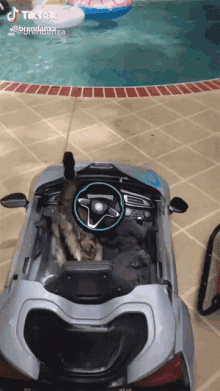 Duck Driving GIF - Duck Driving Accident GIFs