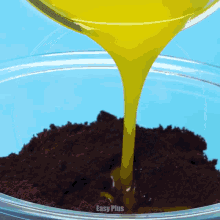 yellow liquid is being poured into a clear plastic bowl with easy plus written on the bottom