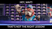 Knuckles That'S Not The Right Lesson GIF - Knuckles That'S Not The Right Lesson Missed The Point GIFs