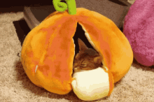 Nap Pumpkin GIF