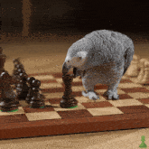 Chesscom Animal Chess GIF - Chesscom Chess Animal Chess GIFs